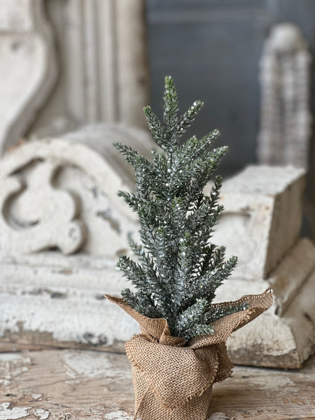 Burlap Wrapped Frosted Christmas Tree