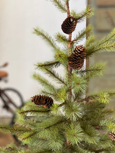 LZBRDY 1ZRWG8W Winter Trees Branch Leaves Pine Cones Bow Clear