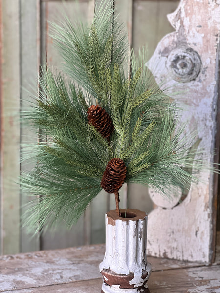 Long Needle Pine & Cedar - Lancaster Home & Holiday